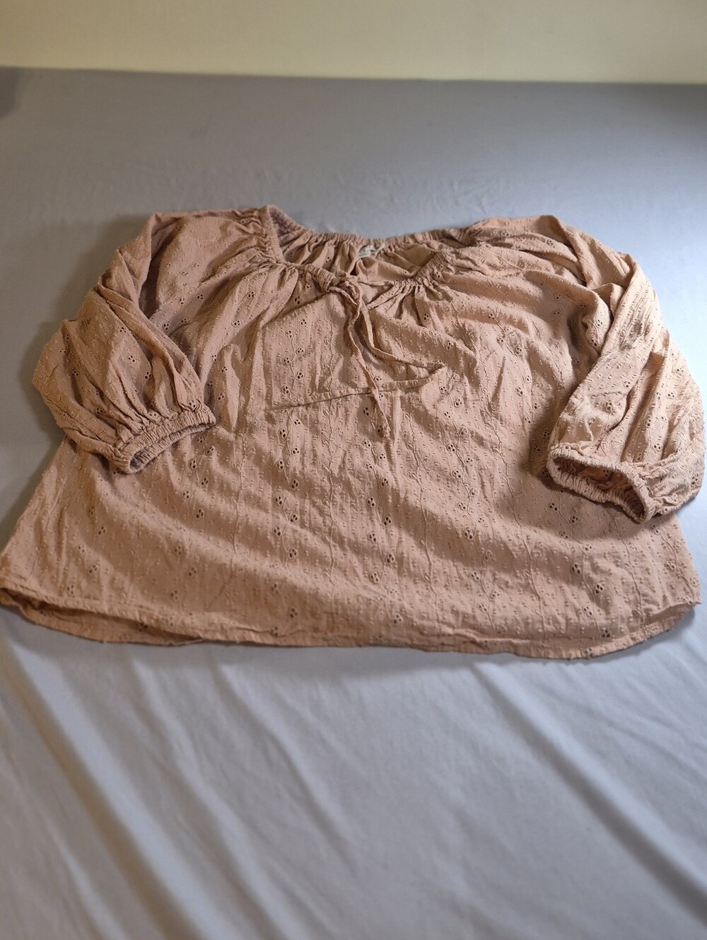 Joie Blush Eyelet Peasant Top